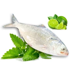 রুপালি ইলিশ