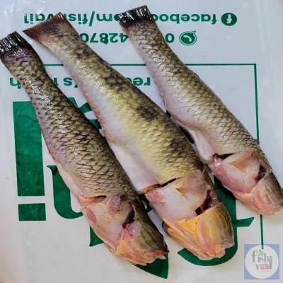 নদীর বেলে