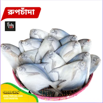 রুপচাদা-আস্ত