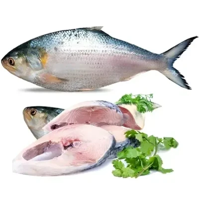 চাঁদপুরের লোকাল ইলিশ-1000-1100 gm