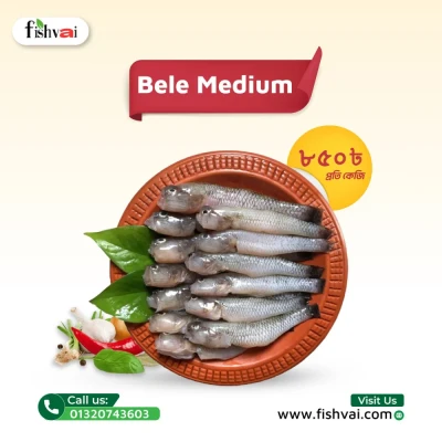 যমুনা নদীর বেলে বড় সাইজ ৬/১০ পিসে কেজি