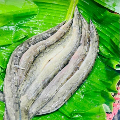 তারাবাইম